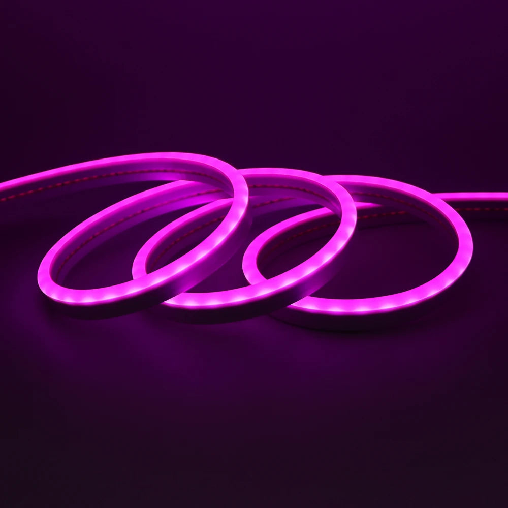 Neon Flex LED Exterior IP67 24V – Iluminación Continua Profesional