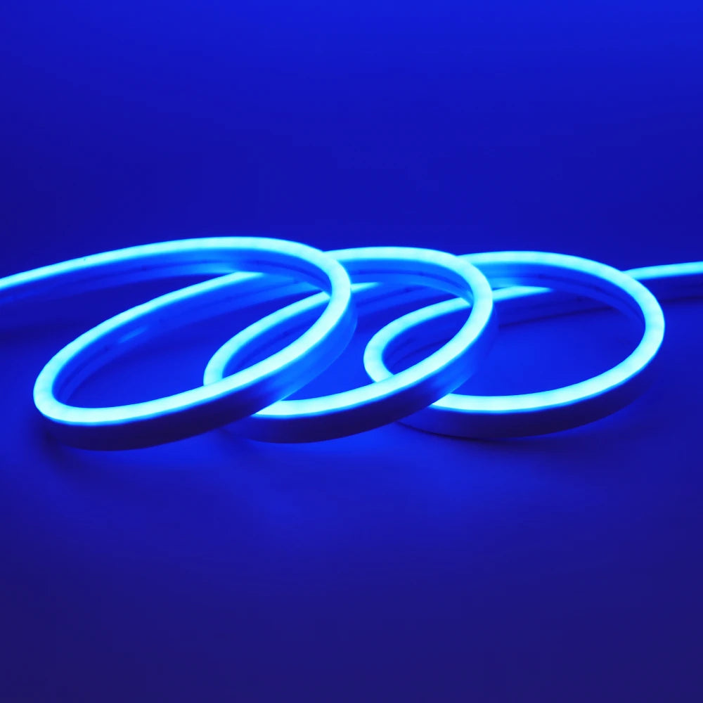 Neon Flex LED Exterior IP67 24V – Iluminación Continua Profesional