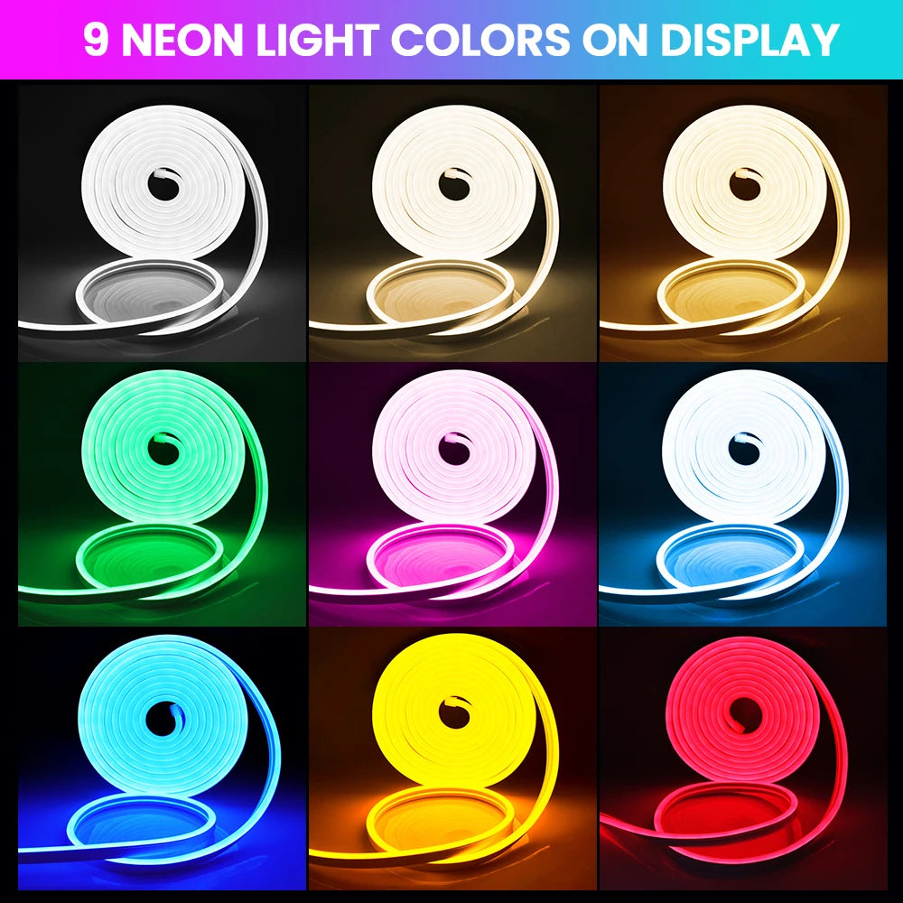 Neon Flex LED Exterior IP67 24V – Iluminación Continua Profesional