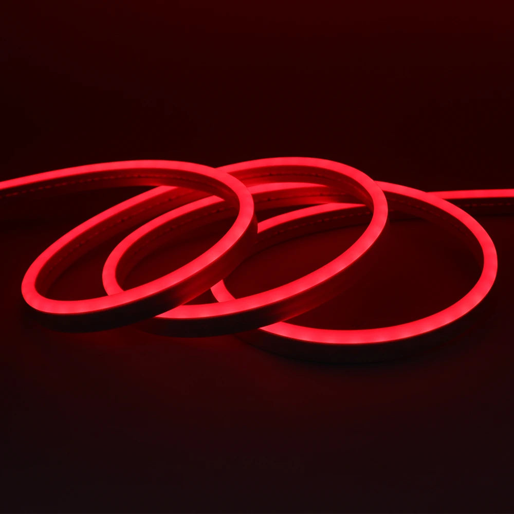 Neon Flex LED Exterior IP67 24V – Iluminación Continua Profesional