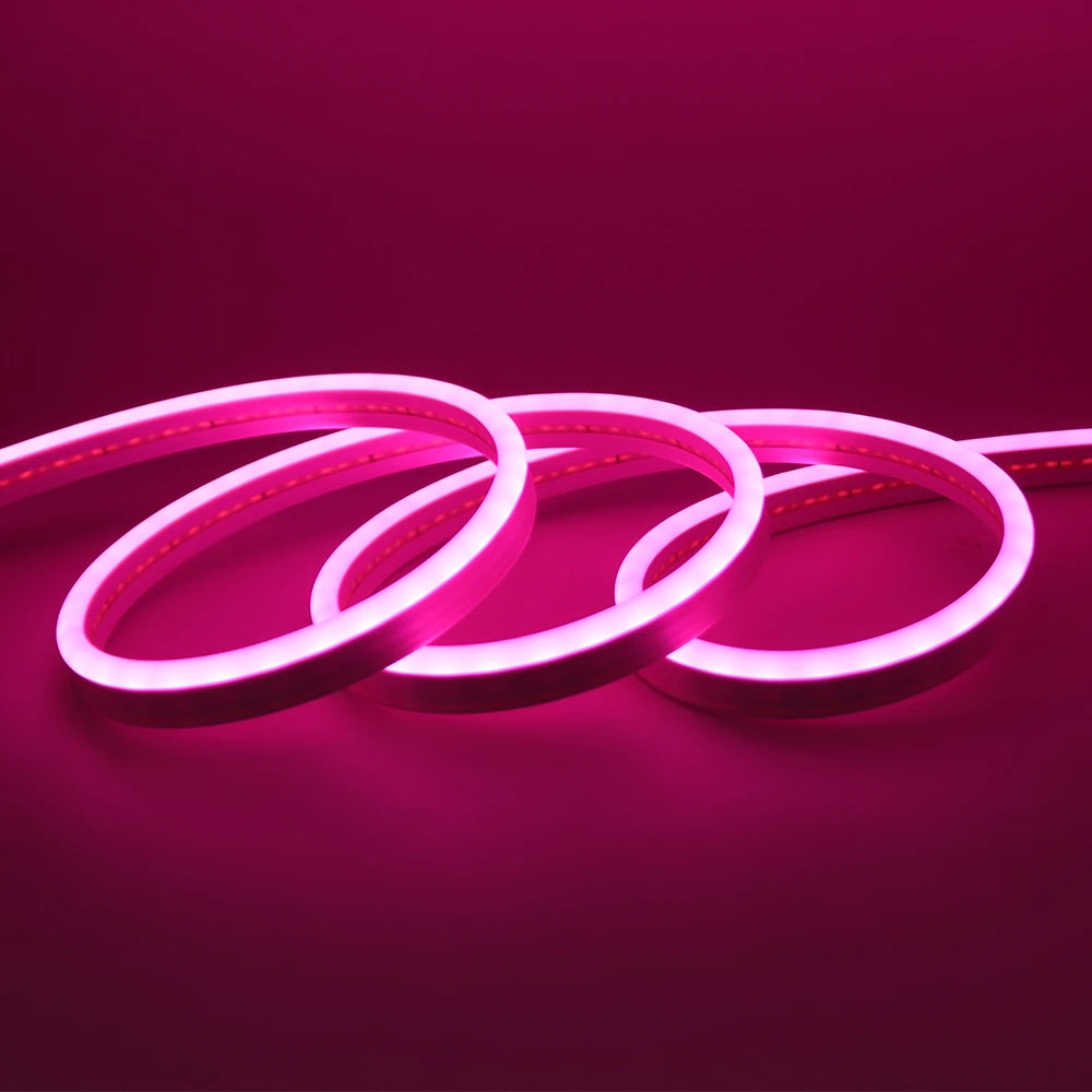 Neon Flex LED Exterior IP67 24V – Iluminación Continua Profesional