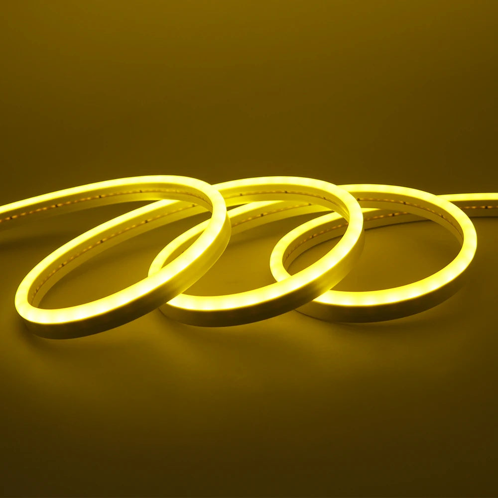Neon Flex LED Exterior IP67 24V – Iluminación Continua Profesional