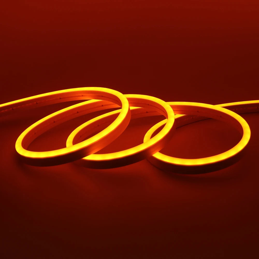 Neon Flex LED Exterior IP67 24V – Iluminación Continua Profesional